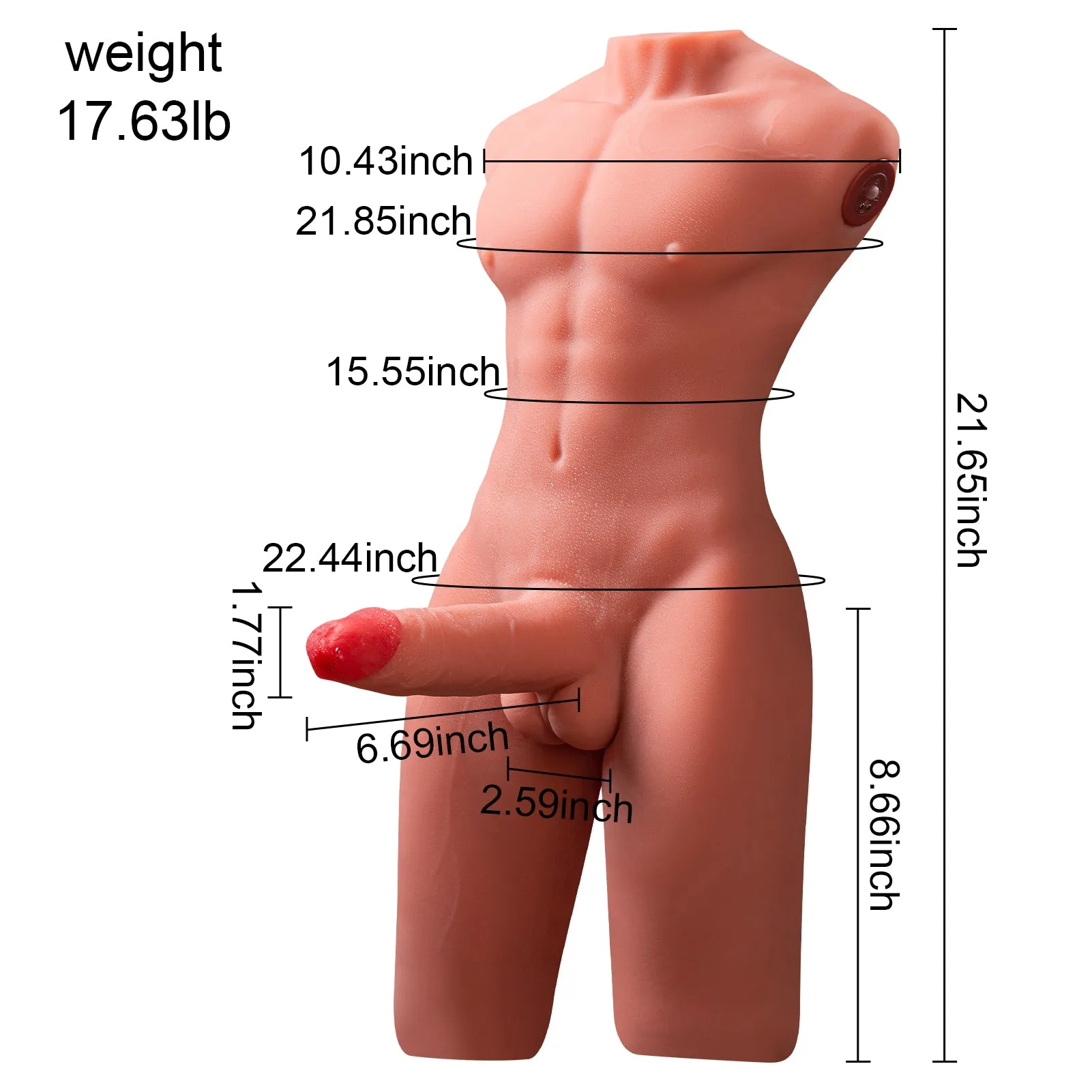 Rob: 17.63lb Thrusting Vibrating Male Sex Doll Full Torso
