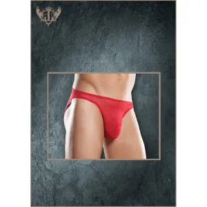 Stretch Mesh Wonder Bikini Red 1X